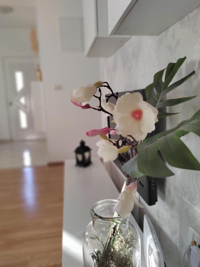 Apartments Karla I Ivano 曼德雷 外观 照片
